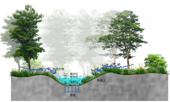流域/河道水環(huán)境綜合治理解決方案