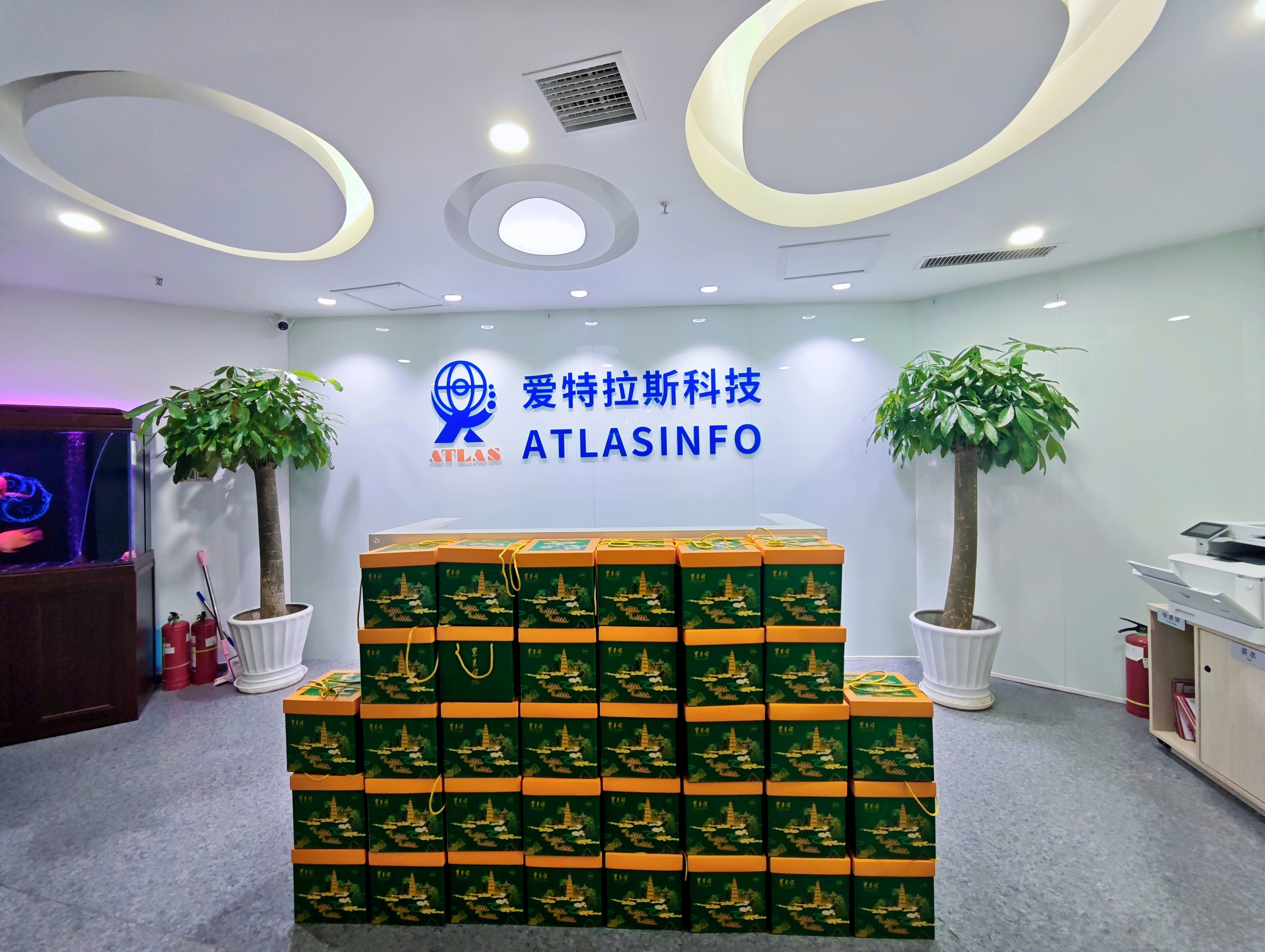 端午團圓時(shí)，思念是粽葉包裹的情